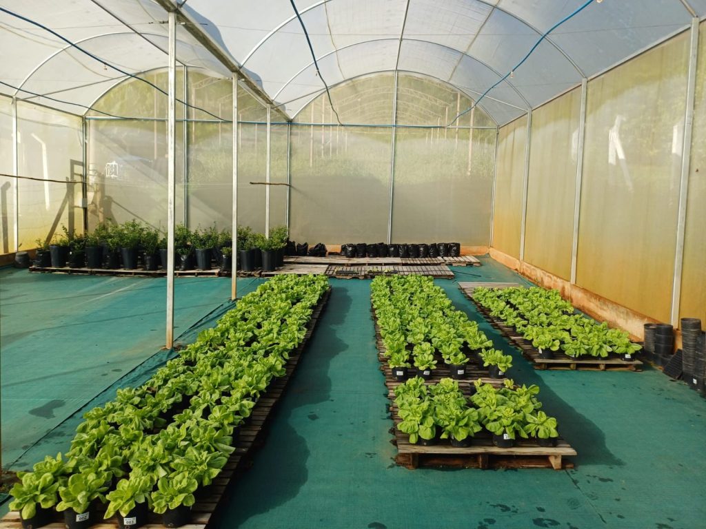 Estufa onde são produzidos alimentos na sede da Biosfera