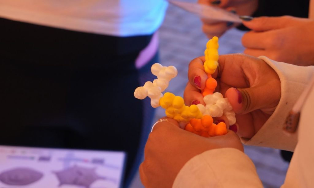 Componentes biológicos 3D, que mostram, na pratica o que acontece dentro do corpo