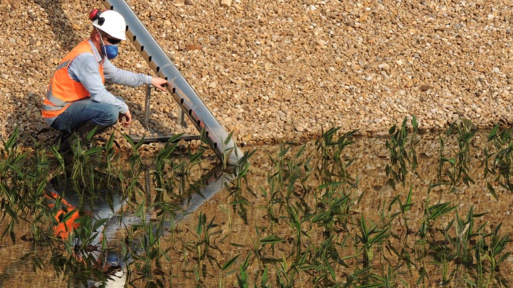Wetlands desenvolve tecnologia para tratamento de esgotos sanitários, lodos, efluentes industriais e águas de mineração | Crédito: Wetlands/Divulgação